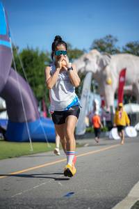 BIB: 
                            <button type="button" onclick="openModal(26543920)" class="btn btn-primary btn-sm float-right btn-popup" data-toggle="modal" data-target=".modal-high-quality">
                        <i class="fas fa-shopping-cart"></i> Add to Cart
                    </button>
                                            <button type="button" onclick="isThisMe(26543920, true)" class="btn btn-success btn-sm float-right btn-popup btn-isme hidden" data-toggle="tooltip" data-placement="bottom" title="นี่คือรูปของคุณใช่ไหม คลิกที่นี่เพื่อเอาเข้าอัลบั้ม">
                        <i class="fas fa-plus"></i> Add to album
                    </button>
                    <button type="button" onclick="isThisMe(26543920, false)" class="btn btn-warning btn-sm float-right btn-popup btn-isnotme hidden">
                        <i class="fas fa-ban"></i> Remove from album
                    </button>